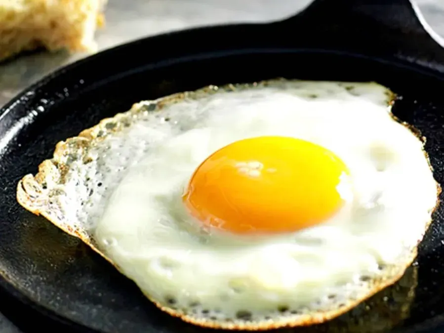 Egg