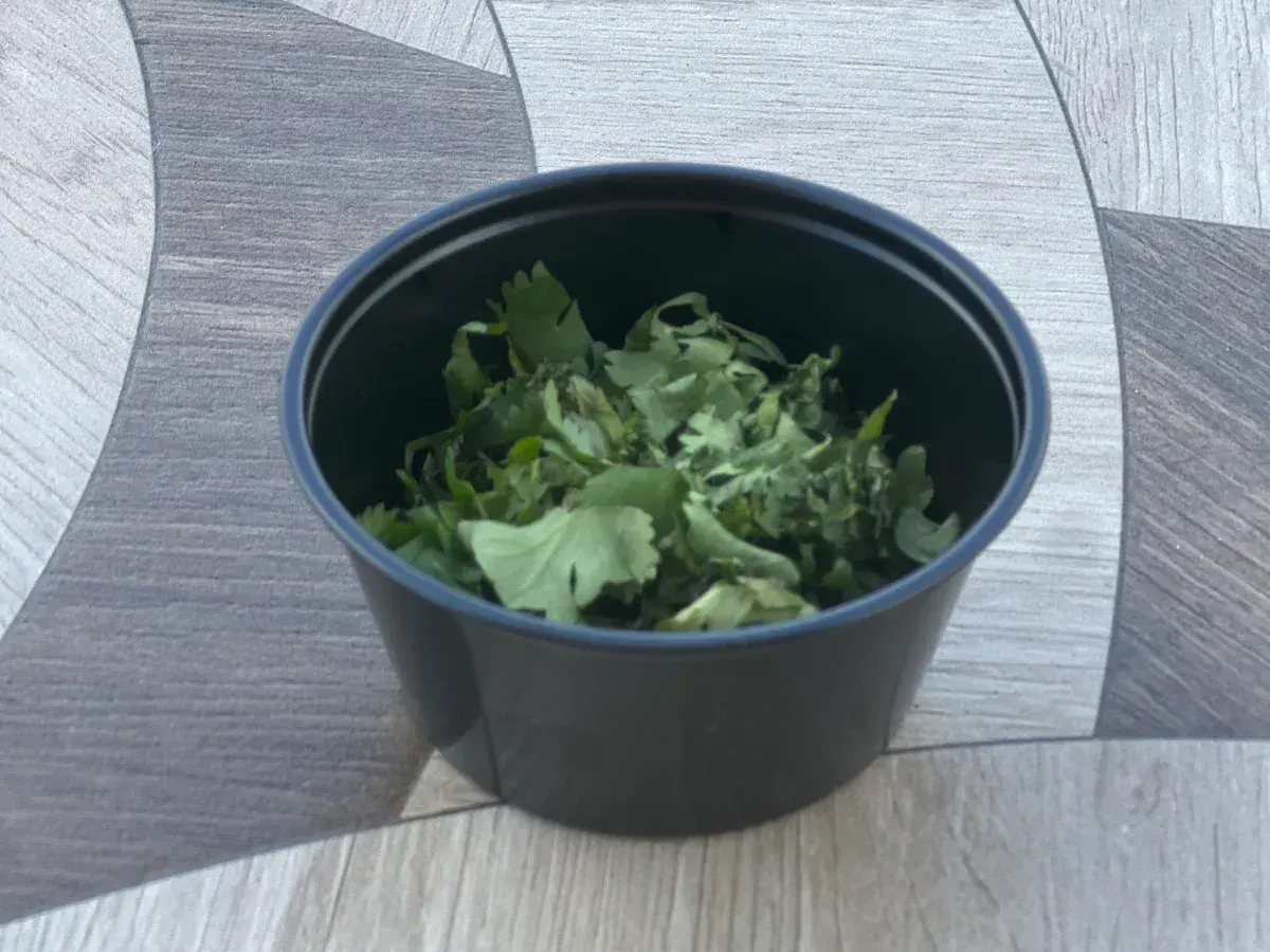 Fresh Cilantro