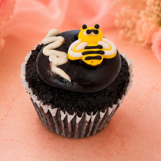 Chocolate Cupcake