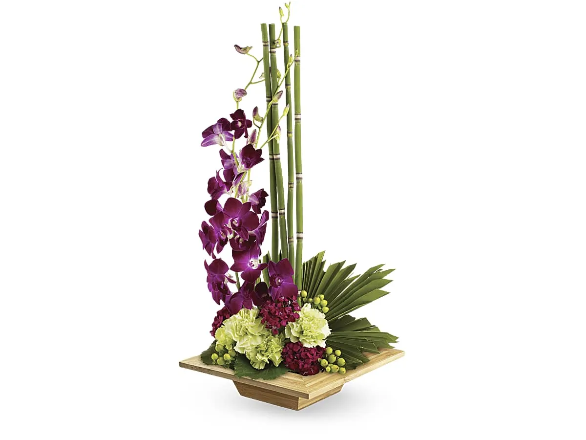 Zen Artistry — Deluxe