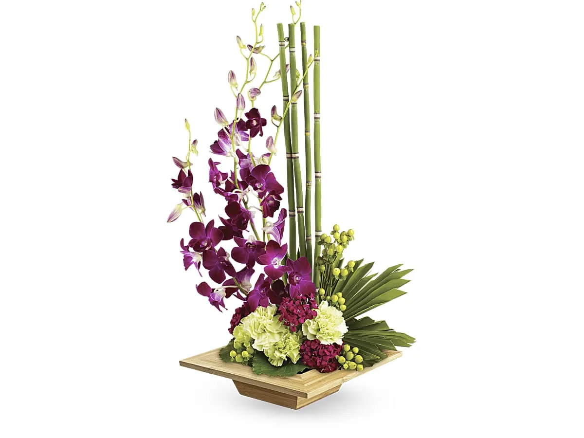 Zen Artistry — Elite