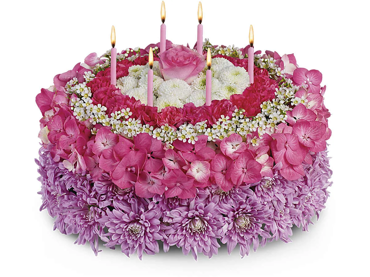 Your Special Day — Elite