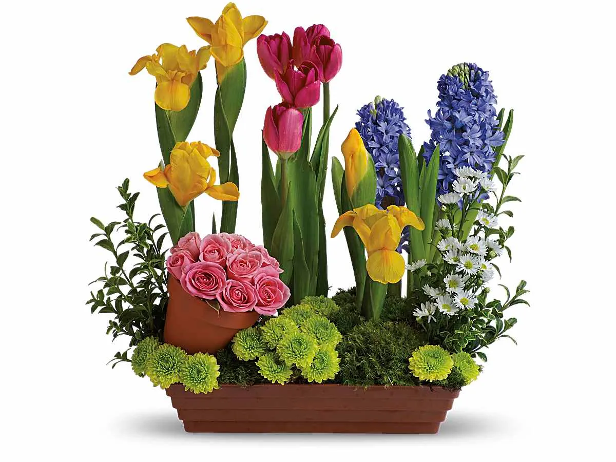 Spring Favorites — Deluxe