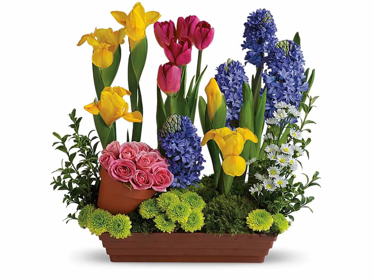Spring Favorites — Elite