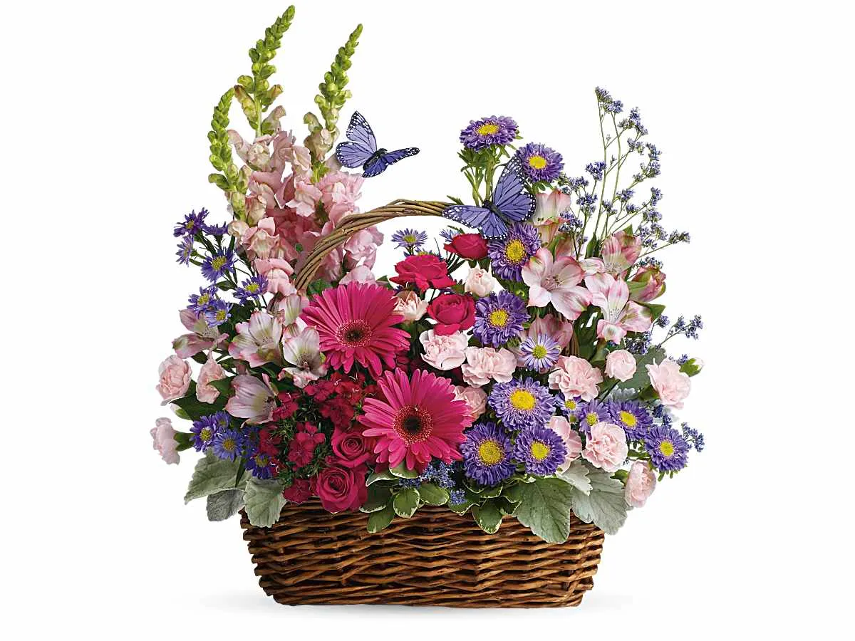 Country Basket Blooms — Elite