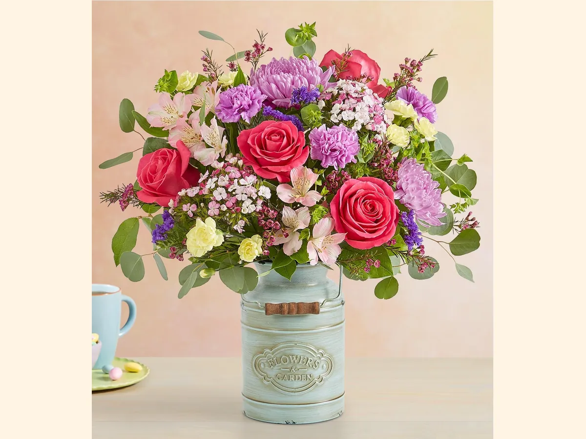 Blush Celebration — Elite