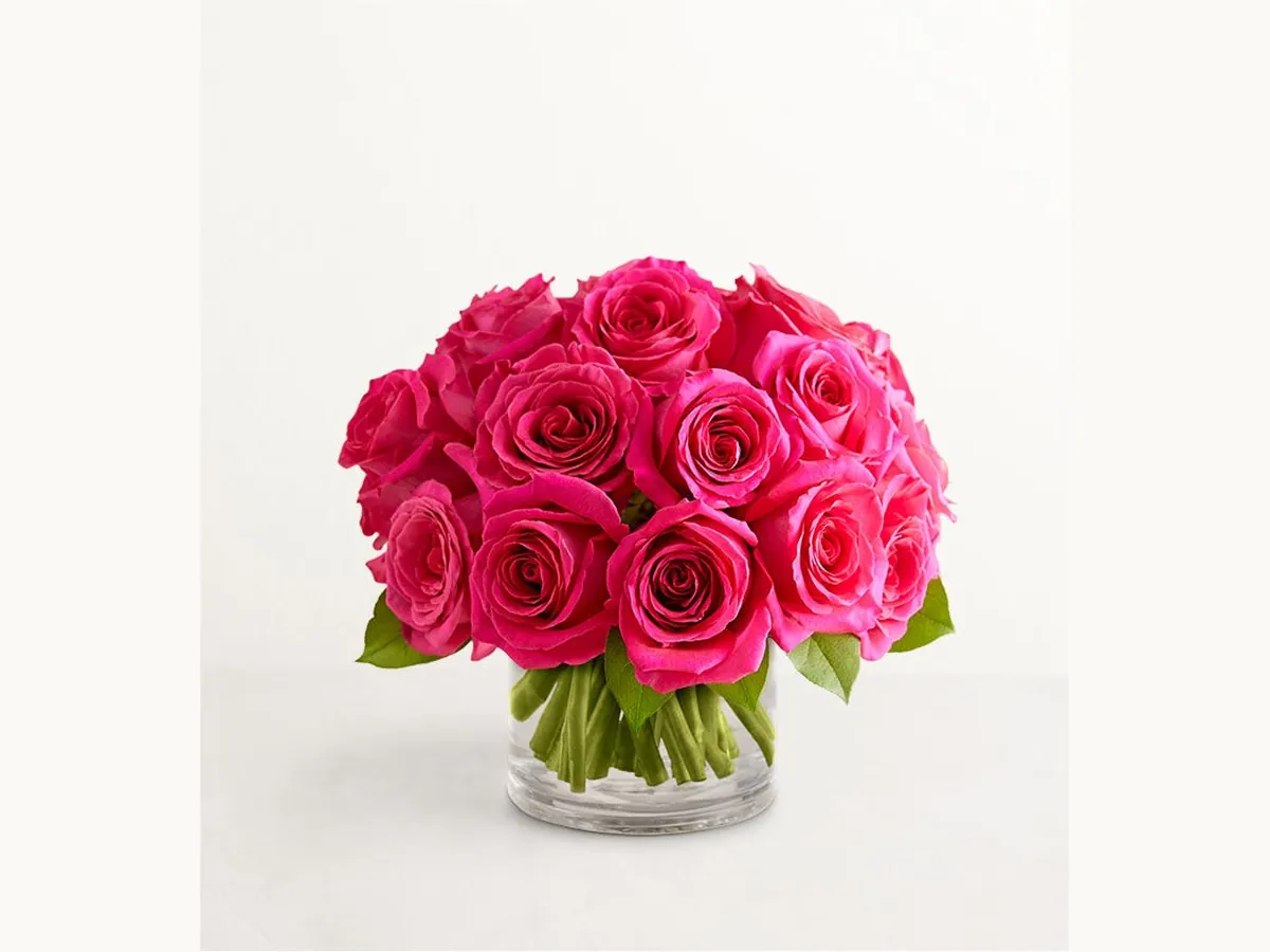 Hot Pink Roses — Deluxe