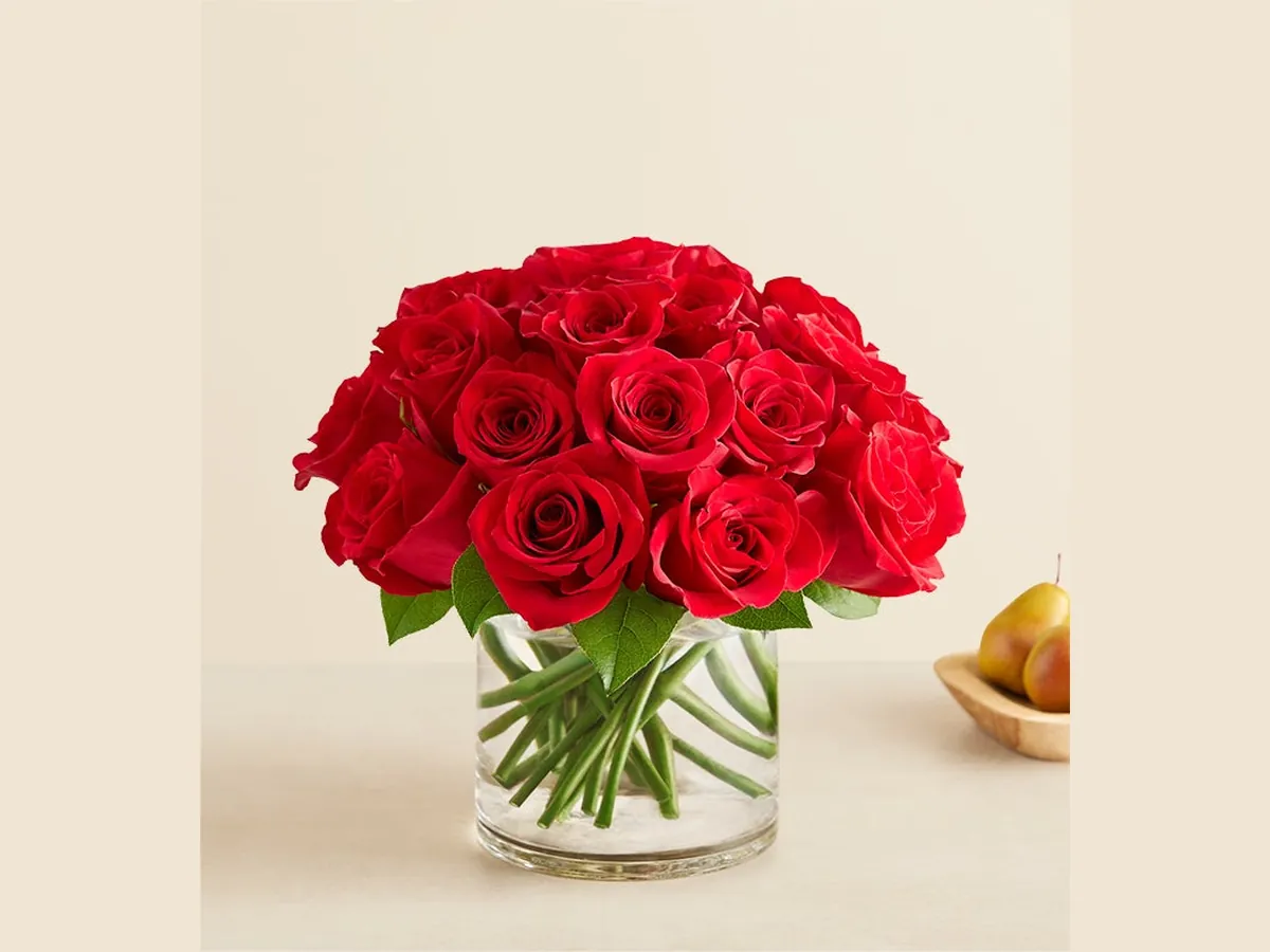 Two Dozen Red Roses — Deluxe