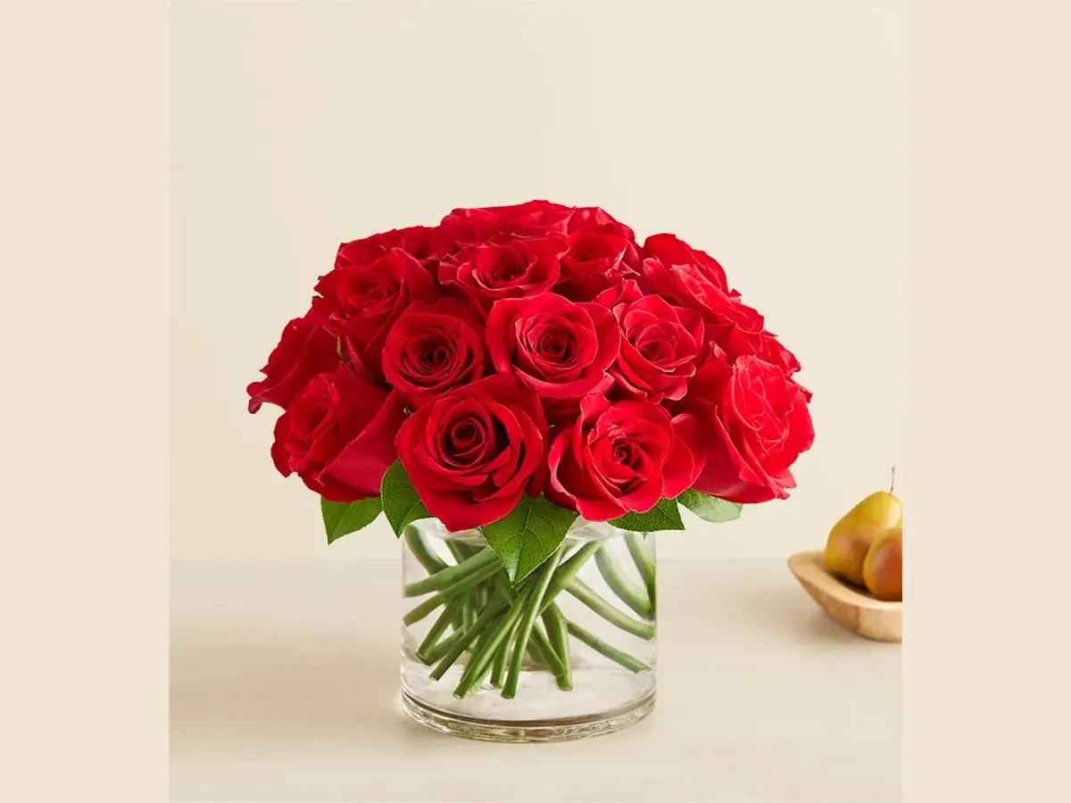 Two Dozen Red Roses — Deluxe