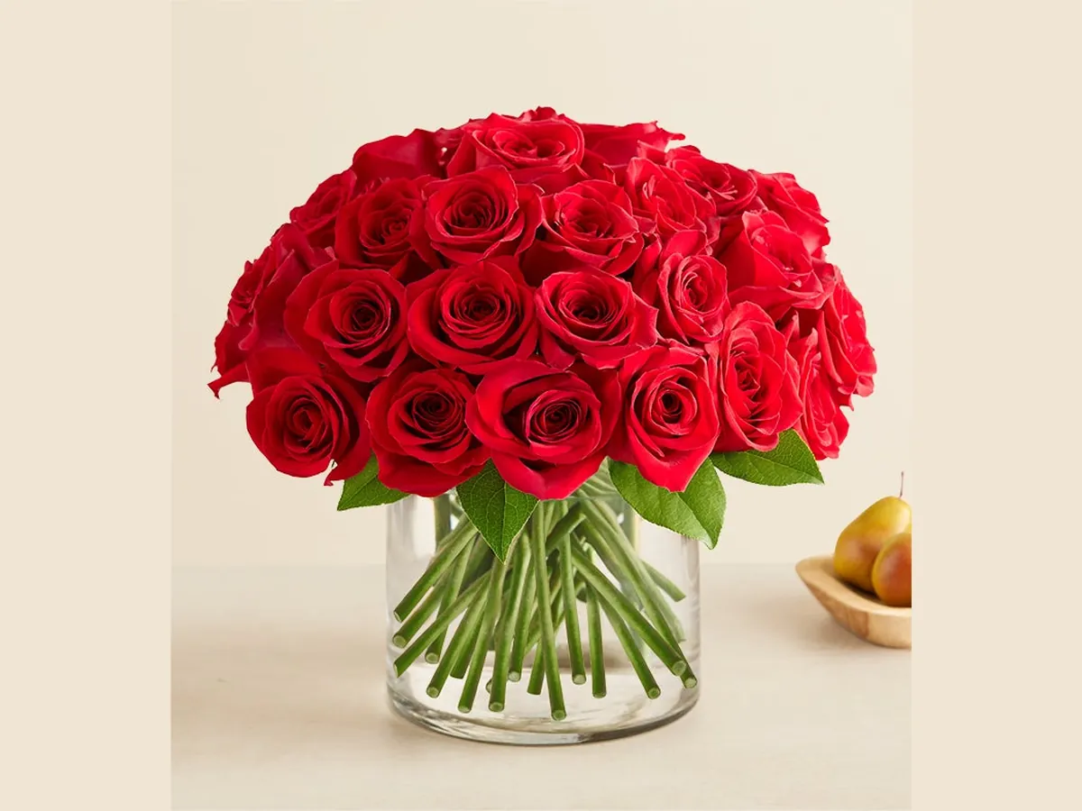 Two Dozen Red Roses — Elite