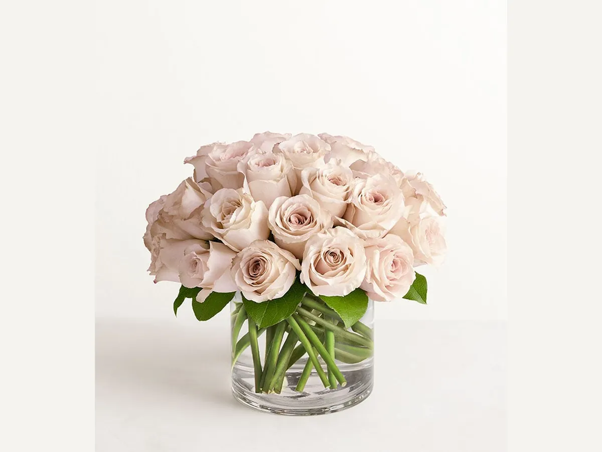 Sand Rose Classic — Deluxe