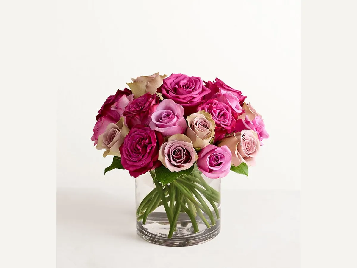 Shades of Lavender Roses — Deluxe