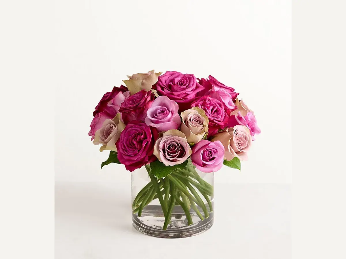 Shades of Lavender Roses — Deluxe