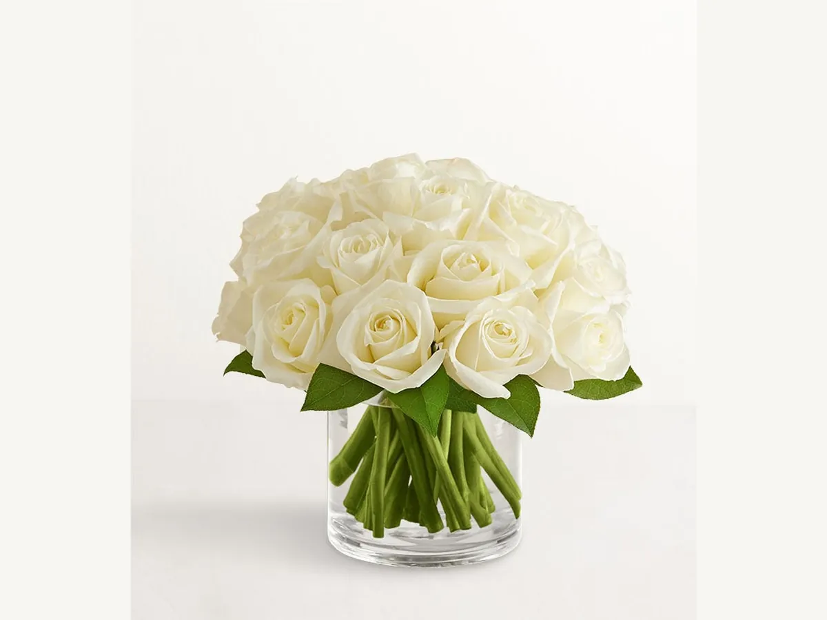 Classic White Roses — Deluxe