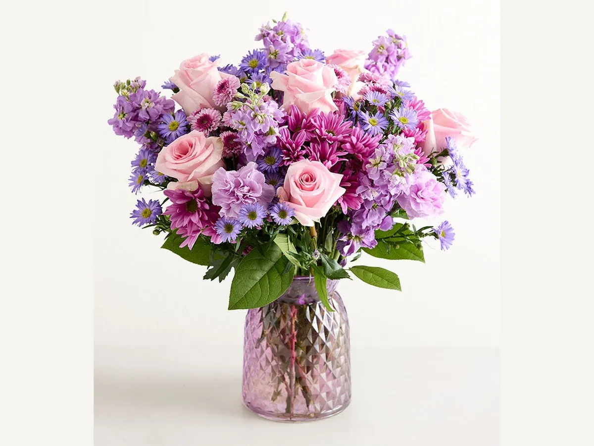 Lavender Daydream — Elite