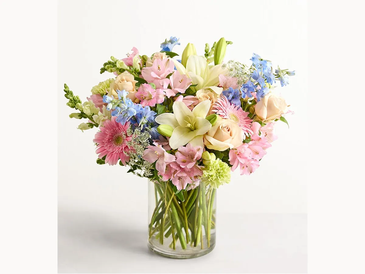 Meadow Pastels — Deluxe
