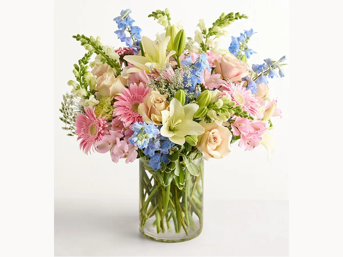 Meadow Pastels — Elite