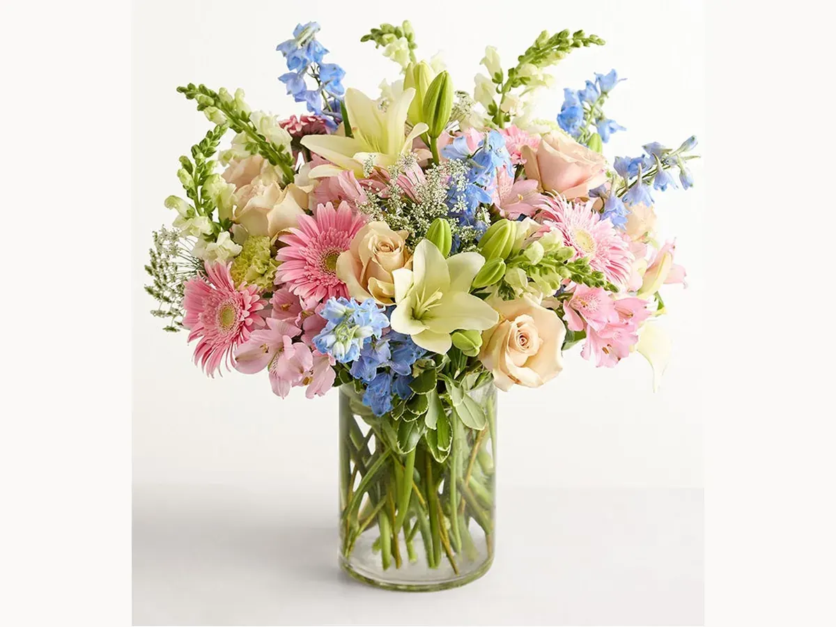 Meadow Pastels — Elite