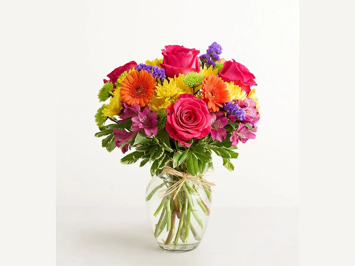 Birthday Brights — Deluxe