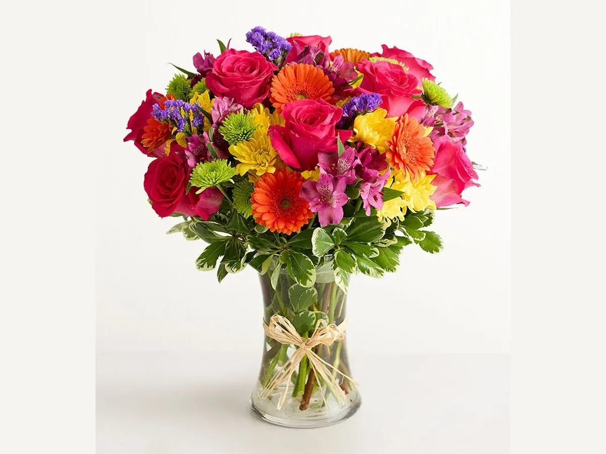 Birthday Brights — Elite