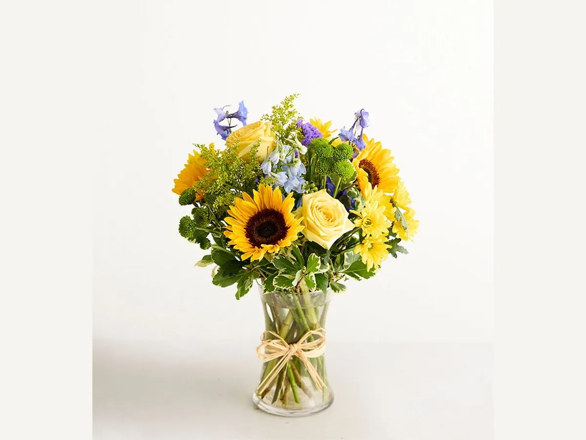 Sunlit Meadow — Deluxe