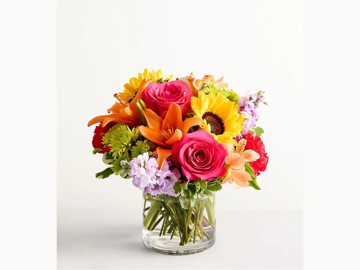Sunset Garden — Deluxe