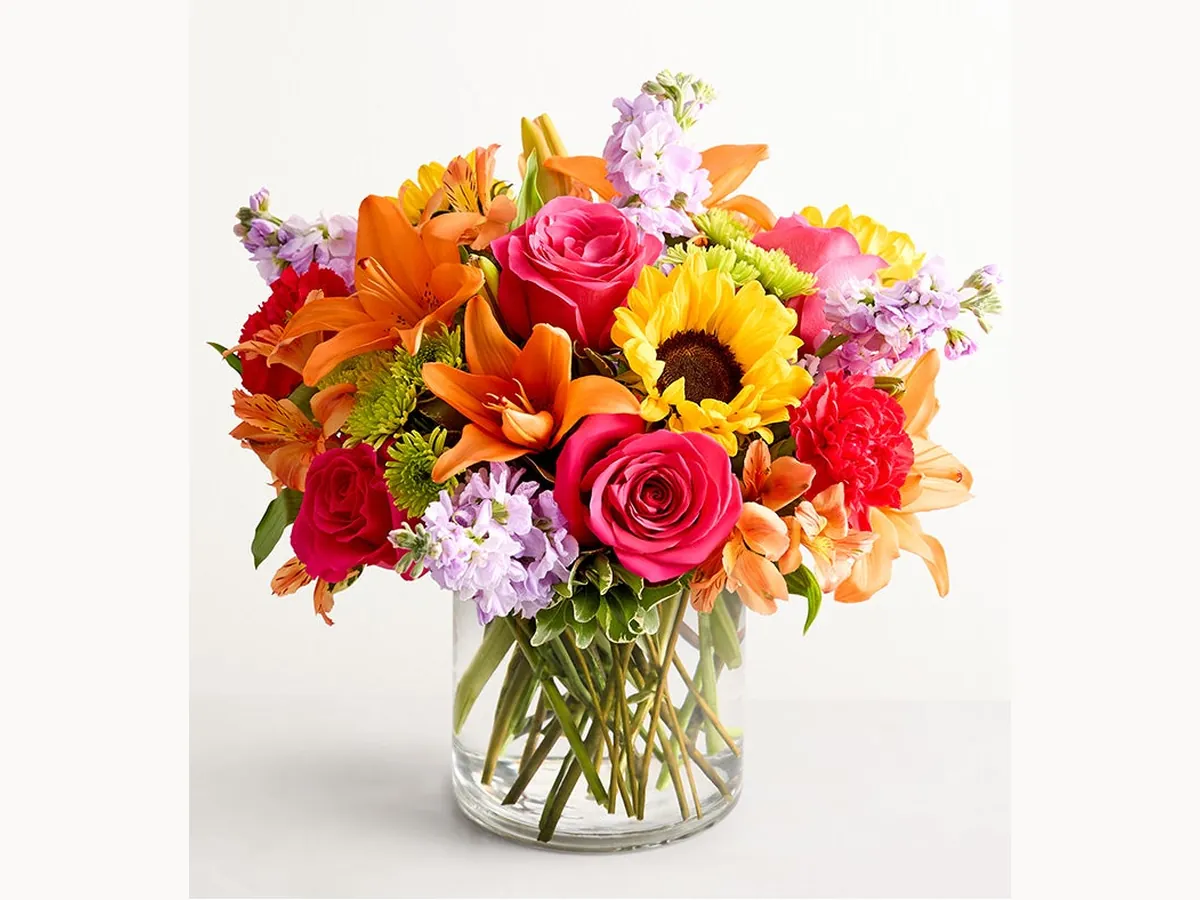 Sunset Garden — Elite