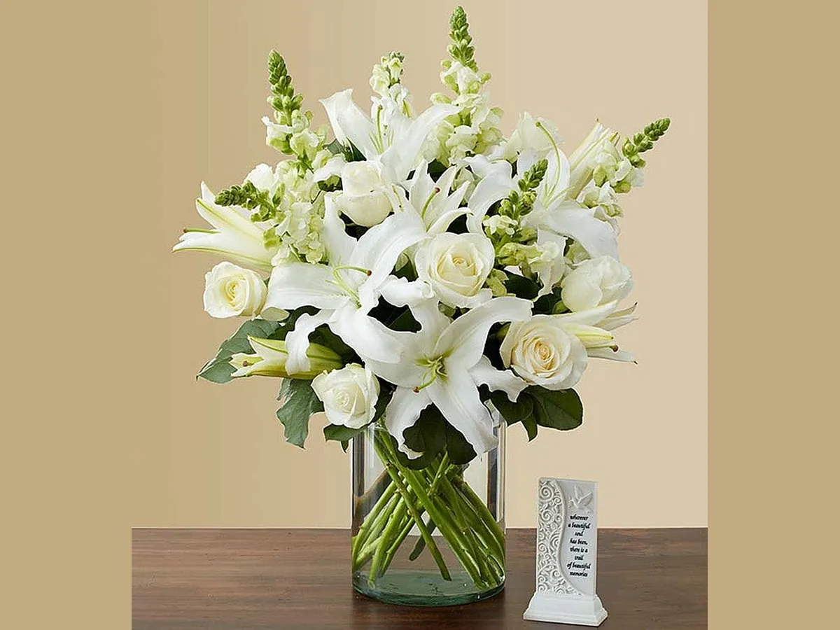 Comfort in White — Deluxe