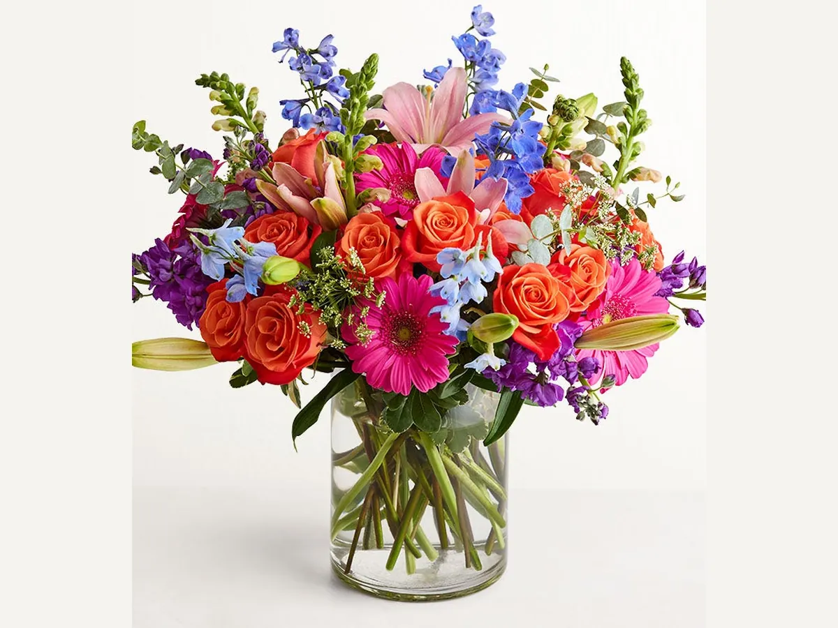 Garden Abundance — Elite