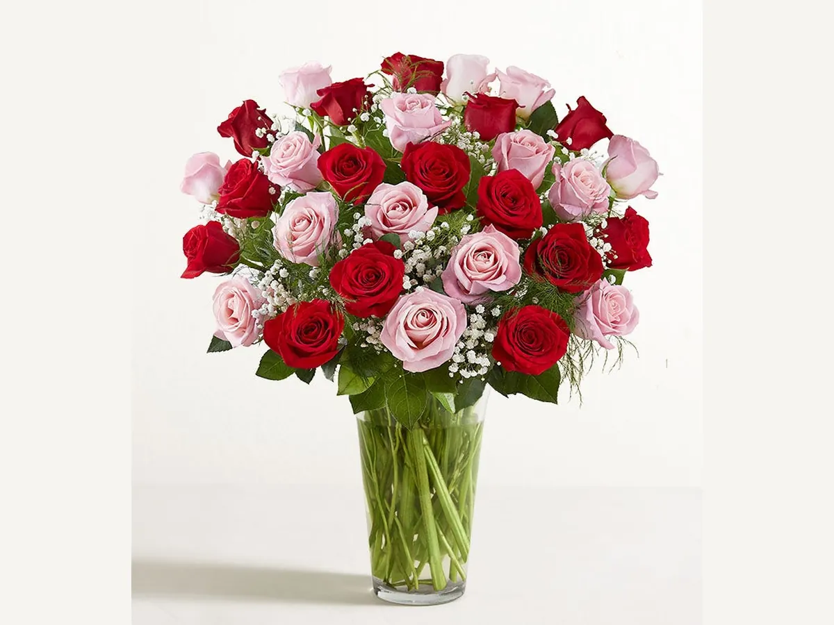 Long Stem Pink and Red — Deluxe