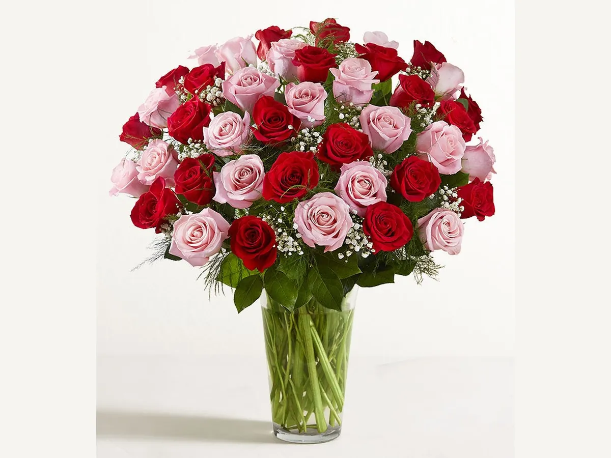 Long Stem Pink and Red — Elite