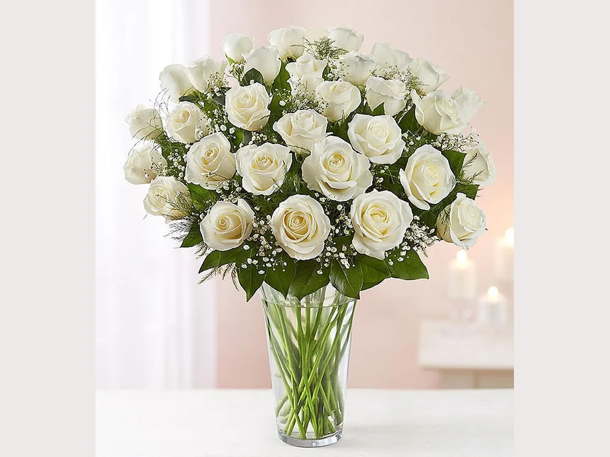 Long Stem White Roses — Deluxe