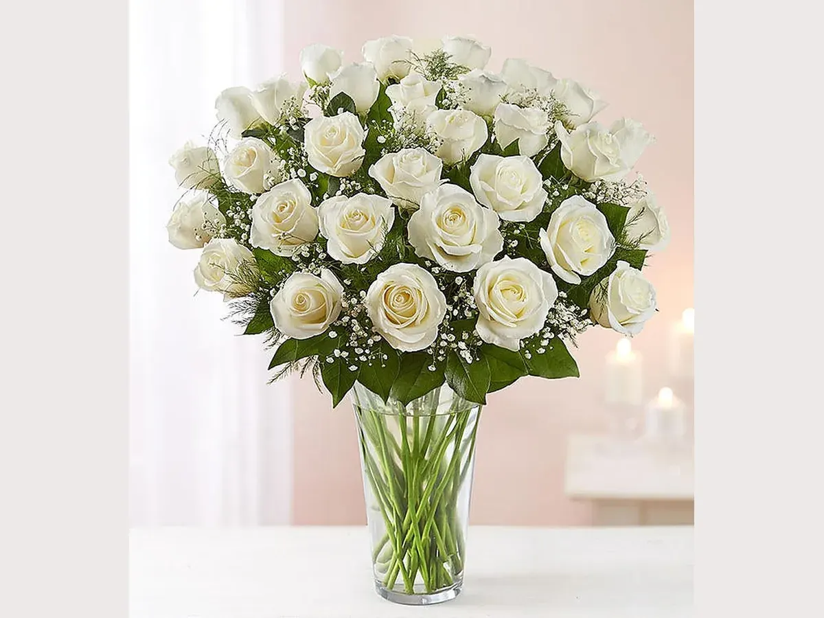 Long Stem White Roses — Deluxe