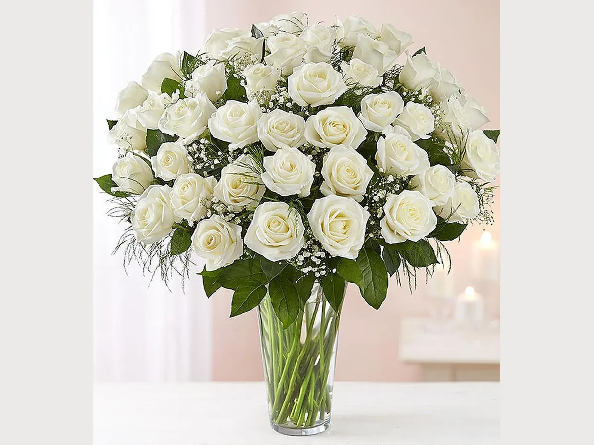 Long Stem White Roses — Elite
