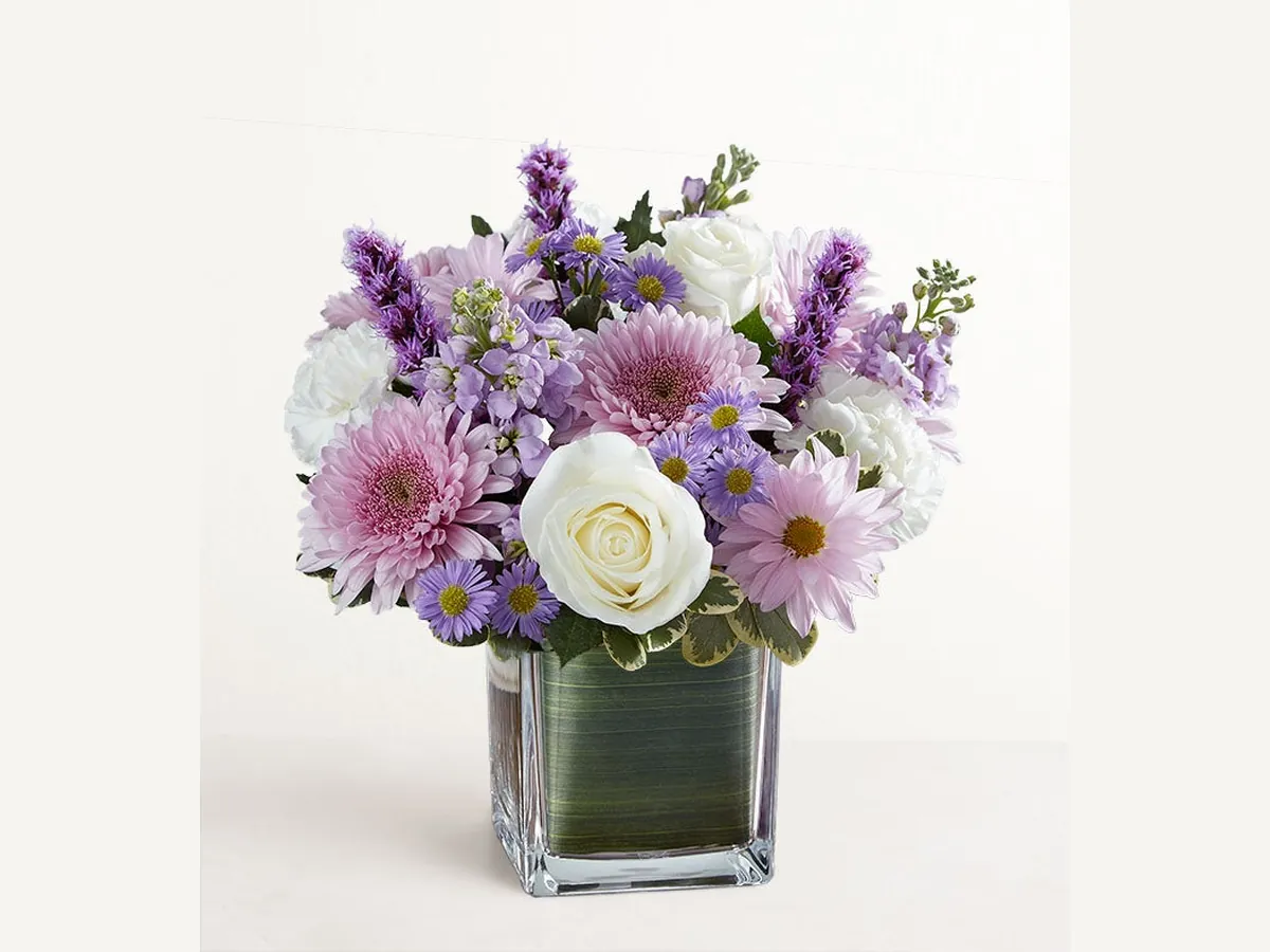 Gentle Remembrance — Deluxe