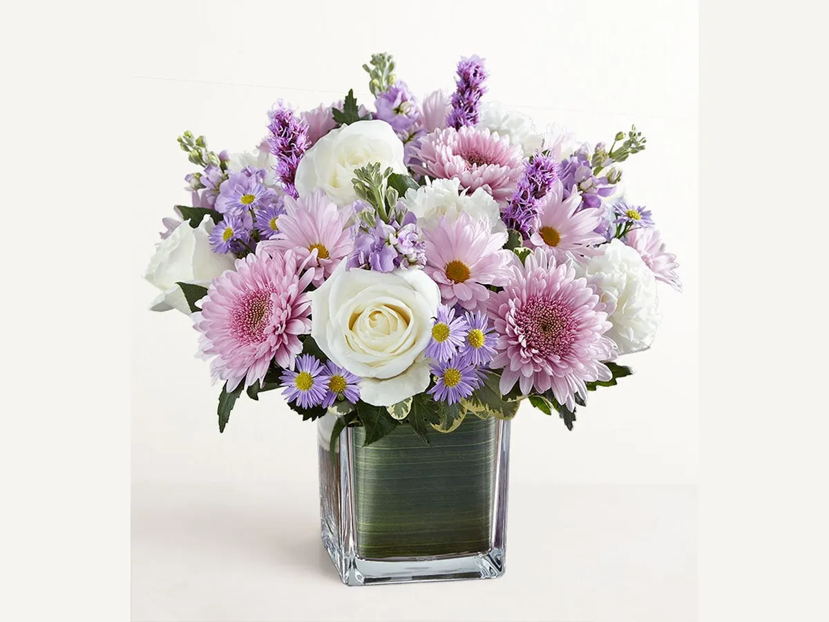 Gentle Remembrance — Elite
