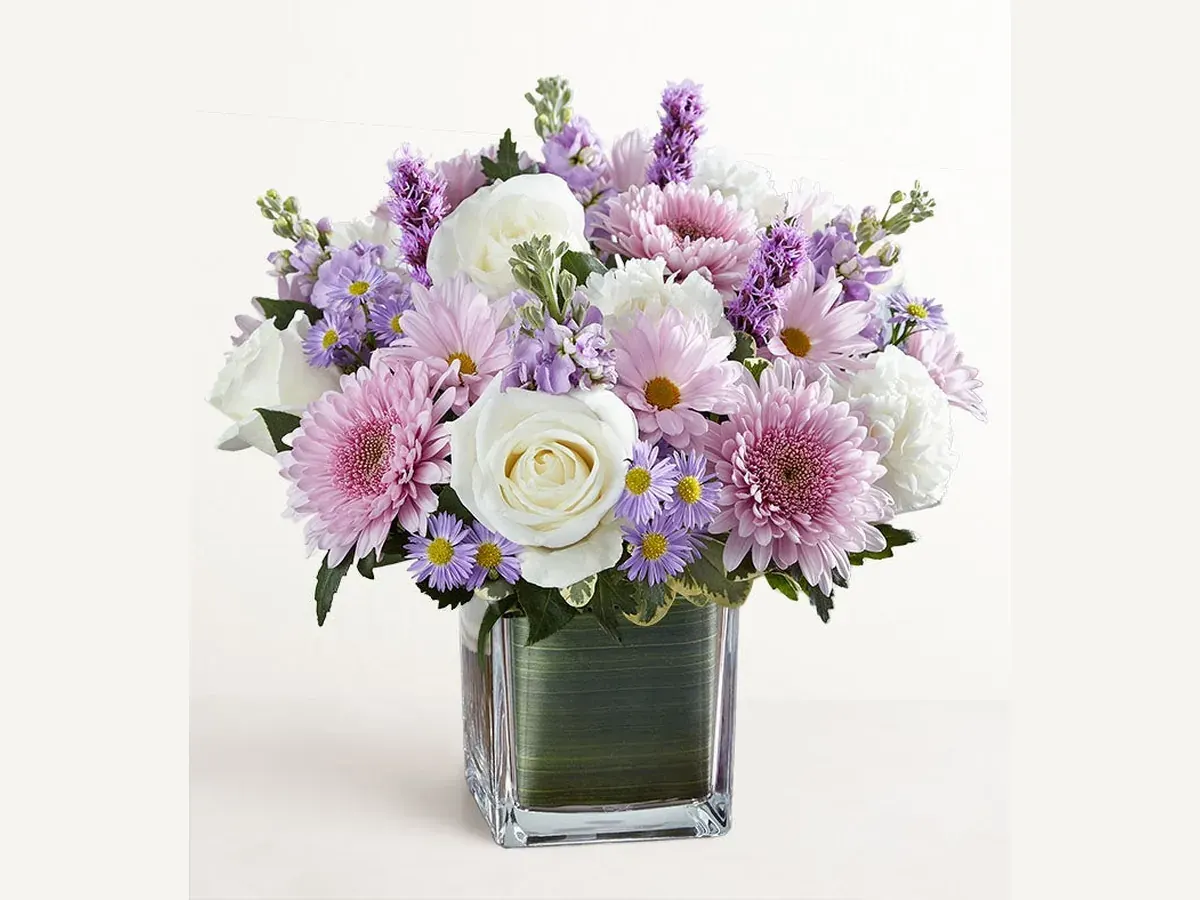 Gentle Remembrance — Elite