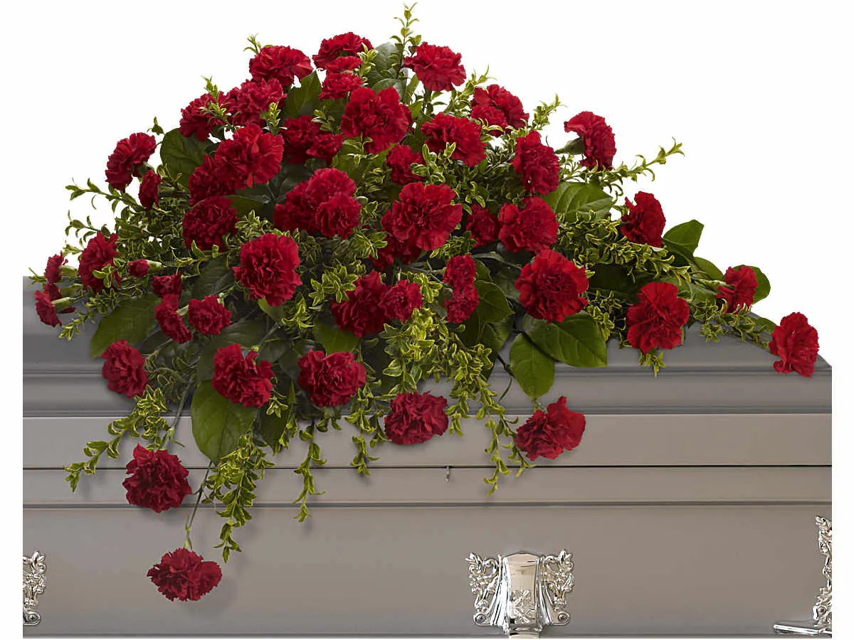 Red Carnation Casket Spray