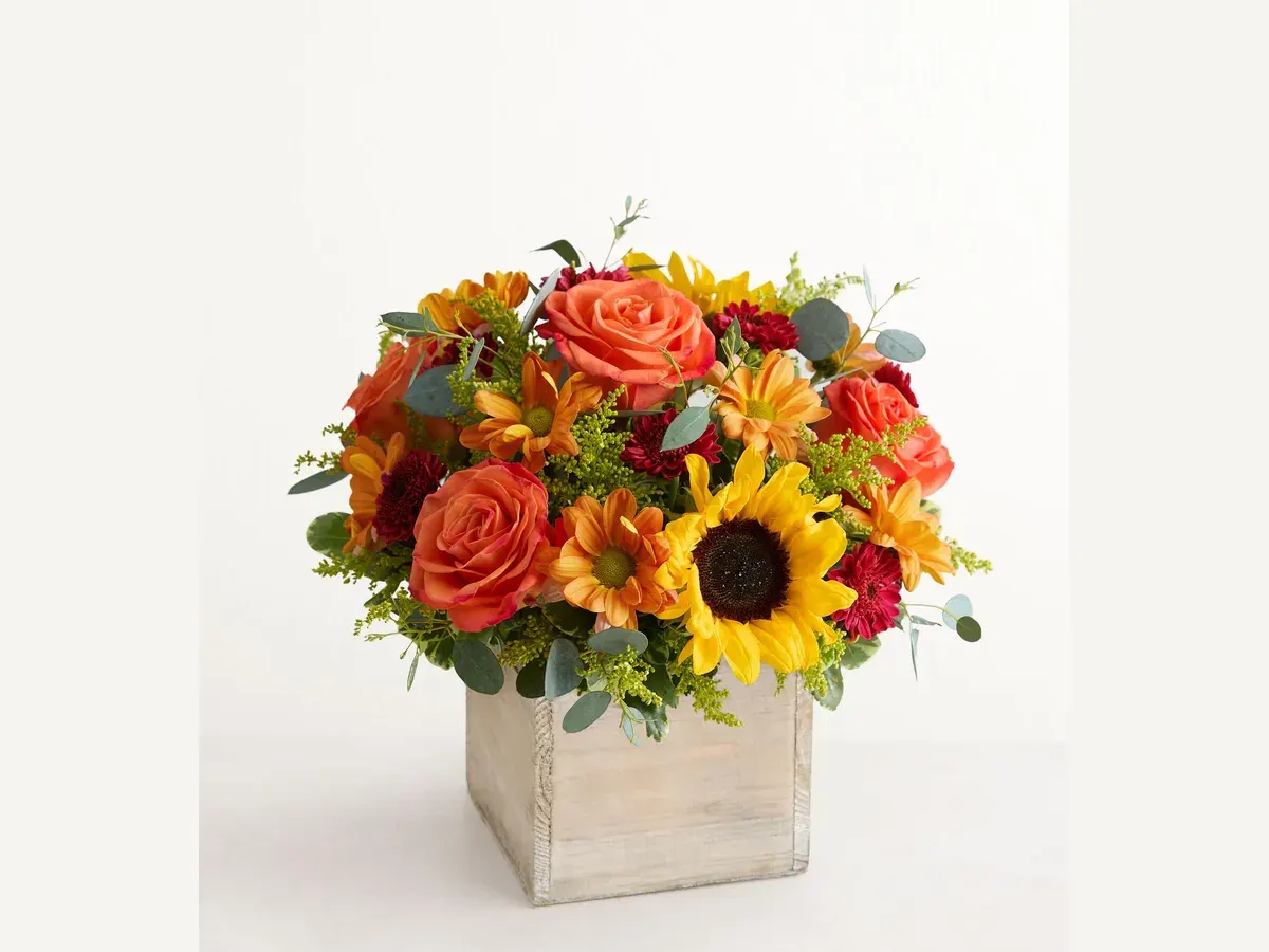 Harvest Glow Box